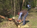 Aufräumen für den Sommer (April 2017)