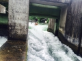Wildwasser Kanal Augsburg (06/2015)